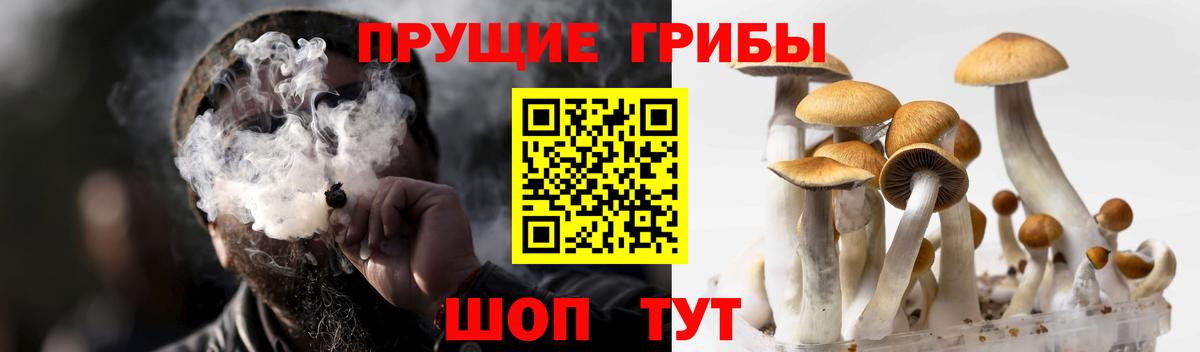 Азов  Галлюциногенные грибы мухоморы  Псилоцибиновые грибы прущие грибы  Вход с VPN 
